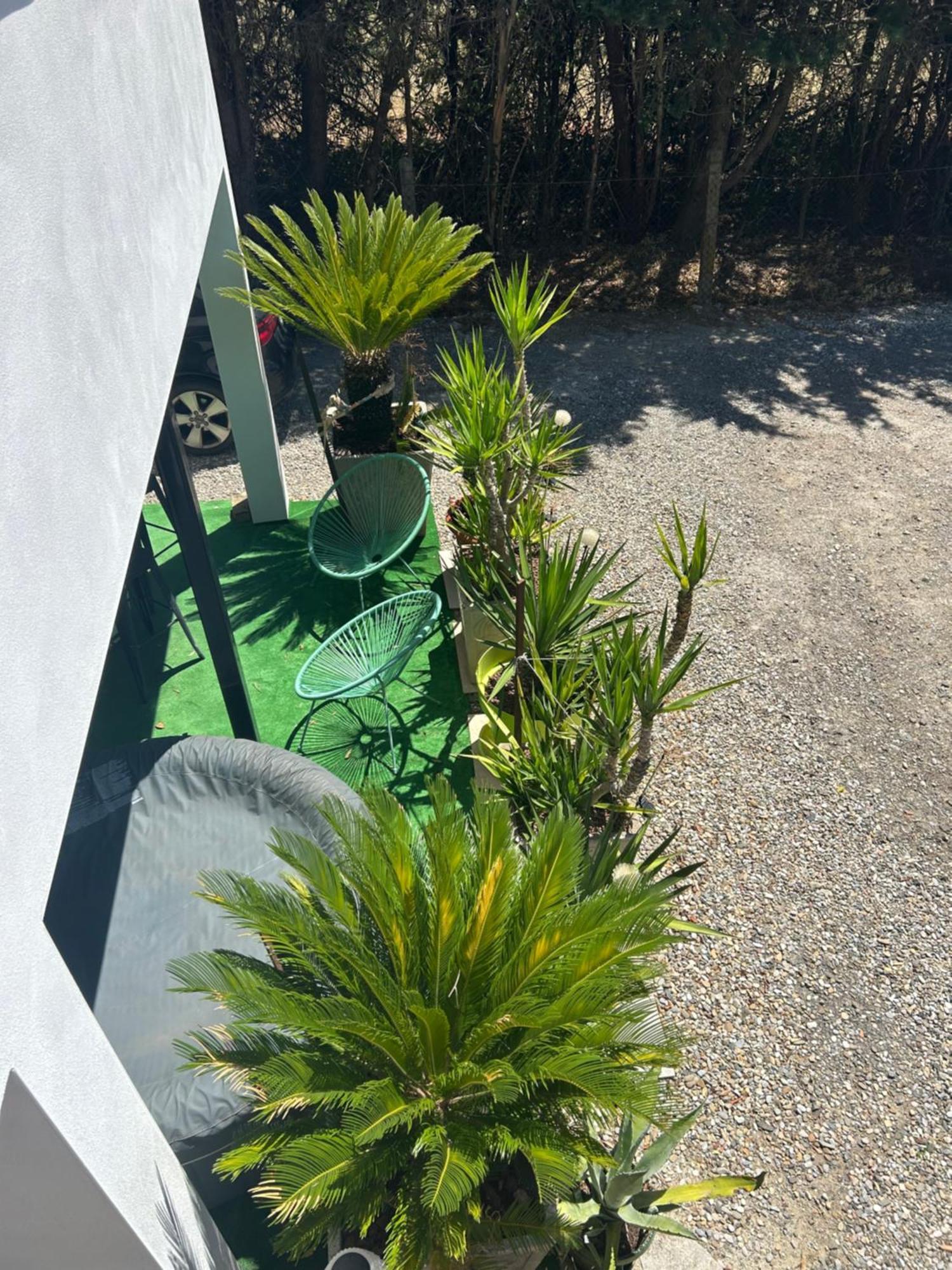 Appart-One Terrasse Jacuzzi Parking Carcassonne Exterior foto